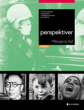 Perspektiver av Ane Bjølgerud Hansen, Inger Hilde Killerud, Per Anders Madsen, Hege Roaldset og Eivind Sæther (Heftet)