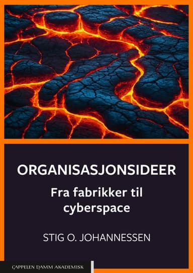 Organisasjonsideer
