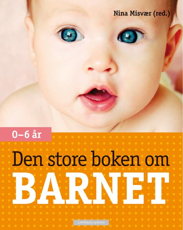 Omslag Den store boken om barnet av Nina Misvær (red.) (Innbundet)