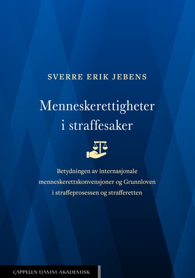 Menneskerettigheter i straffesaker