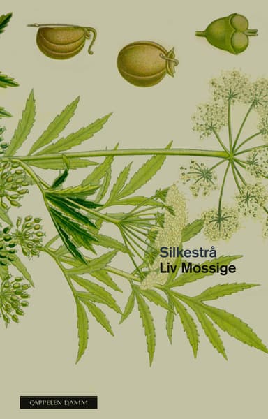 Silkestrå