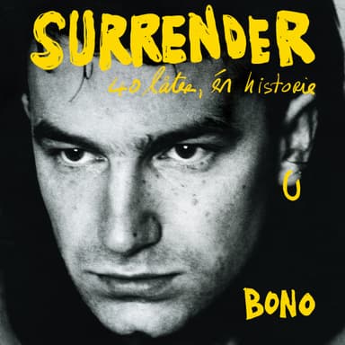Surrender - 40 låter, én historie