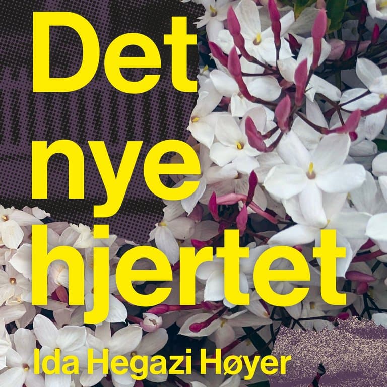Omslag Det nye hjertet av Ida Hegazi Høyer (Lydbok)