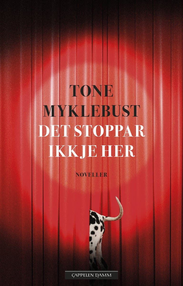 Omslag Det stoppar ikkje her av Tone Myklebust (Innbundet)