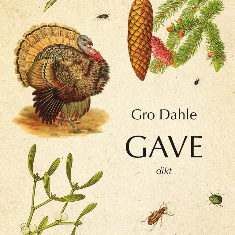 Omslag Gave av Gro Dahle (Lydbok)