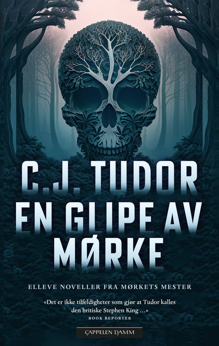 Omslag En glipe av mørke av C.J. Tudor (Ebok)