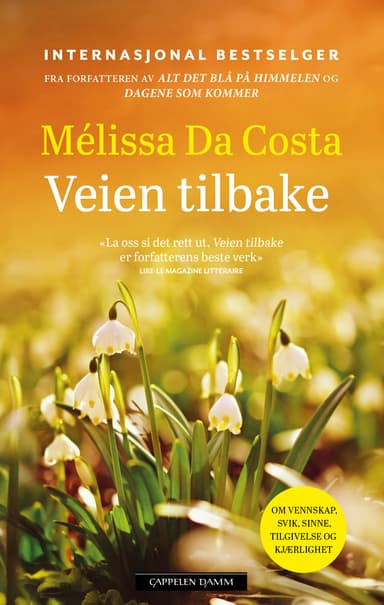 Veien tilbake
