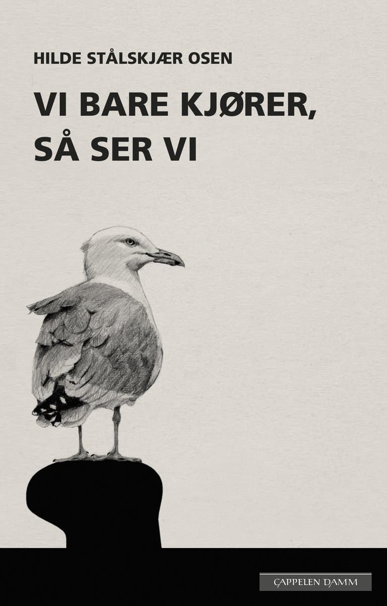Omslag Vi bare kjører, så ser vi av Hilde Stålskjær Osen (Ebok)