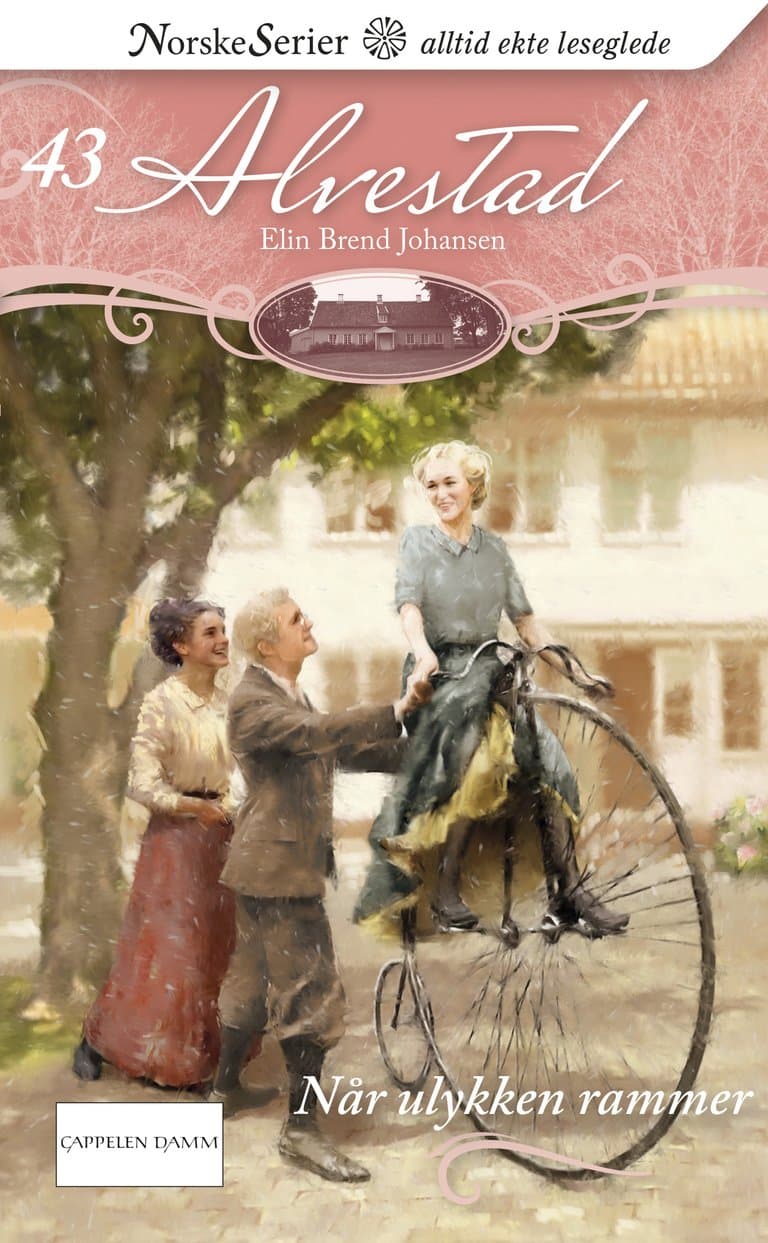 Omslag Når ulykken rammer av Elin Brend Johansen (Ebok)