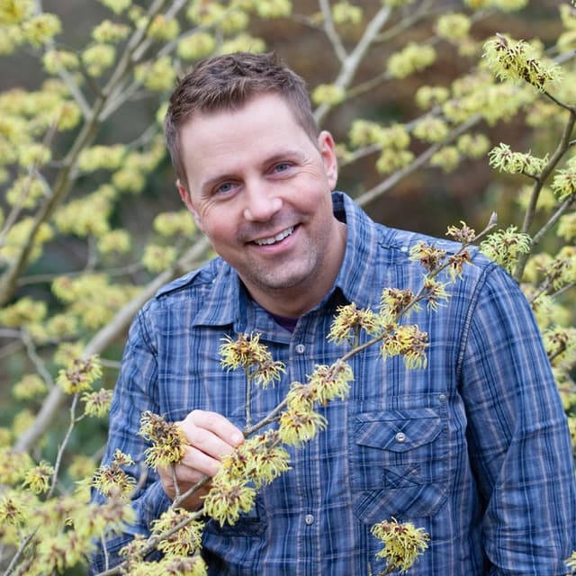 Bidragsyter Kenneth Ingebretsen