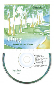 Ding (Lydbok-CD)