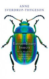 Extraordinary insects av Anne Sverdrup-Thygeson (Heftet)
