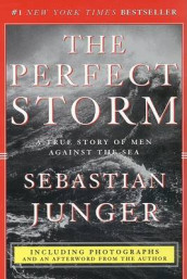 The perfect storm av Sebastian Junger (Heftet)
