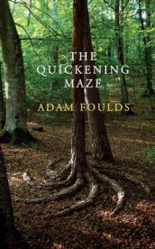 The quickening maze av Adam Foulds (Heftet)