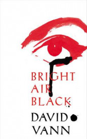 Bright air black av David Vann (Heftet)
