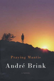 Praying mantis av André Brink (Innbundet)