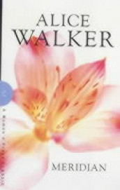 Meridian av Alice Walker (Heftet)
