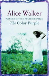 The color purple av Alice Walker (Heftet)