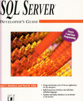 SQL server developer's guide av Paul R. Allen og Joseph J. Bambara (Heftet)
