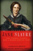 Jane Slayre av Charlotte Brontë og Sherri Browning Erwin (Heftet)