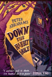 Down the rabbit hole av Peter Abrahams (Heftet)