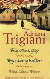 Big Stone Gap ; Big cherry holler ; Milk glass moon av Adriana Trigiani (Heftet)