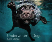 Underwater dogs av Seth Casteel (Heftet)