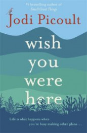 Wish you were here av Jodi Picoult (Heftet)