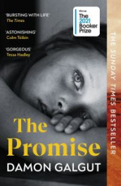 The promise av Damon Galgut (Heftet)
