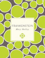 Frankenstein av Mary Shelley (Heftet)