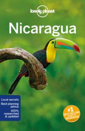Nicaragua av Bridget Gleeson (Heftet)