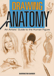 Drawing anatomy av Barrington Barber (Heftet)