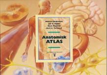 Anatomisk atlas av Michael Budowick, Jan G. Bjålie, Bent Rolstad og Kari C. Toverud (Heftet)