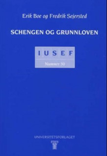 Schengen og Grunnloven av Erik Boe og Fredrik Sejersted (Heftet)