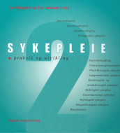 Sykepleie - praksis og utvikling bind 2 av Eva Gjengedal og Rita Jakobsen (Innbundet)