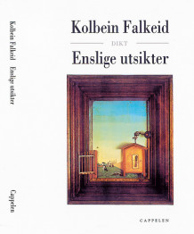 Enslige utsikter av Kolbein Falkeid (Innbundet)