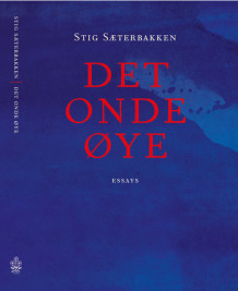 Det onde øye av Stig Sæterbakken (Heftet)