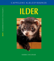 Ilder av Karim Choukair (Heftet)