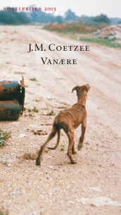 Vanære av J.M. Coetzee (Heftet)