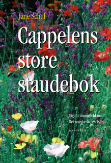 Cappelens store staudebok av Jane Schul (Innbundet)