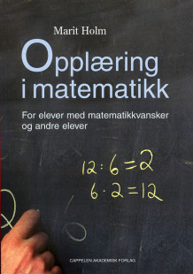Opplæring i matematikk av Marit Holm (Heftet)