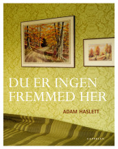 Du er ingen fremmed her av Adam Haslett (Innbundet)