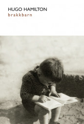 Brakkbarn av Hugo Hamilton (Innbundet)