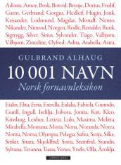 10 001 navn av Gulbrand Alhaug (Innbundet)