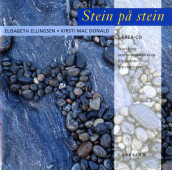 Stein på stein Lærer-CD av Elisabeth Ellingsen (Lydbok-CD)