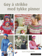 Gøy å strikke med tykke pinner av Gunn Birgirsdottir (Innbundet)