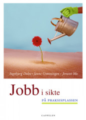Jobb i sikte. På praksisplassen (2005) av Ingebjørg Dolve (Heftet)