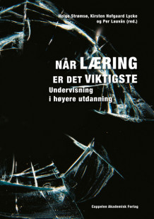 Når læring er det viktigste av Eevi E. Beck, Olga Dysthe, Gunnar Handal, Anton Havnes, Frøydis Hertzberg, Berit Karseth, Per Lauvås, Sten R. Ludvigsen, Kirsten Hofgaard Lycke, Arild Raaheim, Arne Skodvin, Helge I. Strømsø og Line Wittek (Heftet)