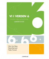 Vi i verden 6 Lærerens bok av Mari Ann Berg (Perm)