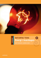 Naturfag Tema Energi i kvardagen av Berit Bungum (Heftet)